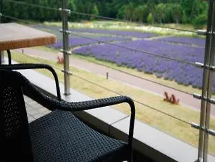 Furano Hotel 4*,  Japonya